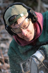 Arbeiter mit der Kettensäge im Wald