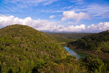 Fototapeta na wymiar Rzeka biegnie przez dżunglę