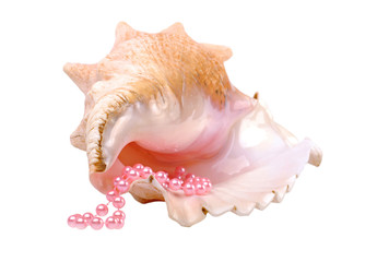 Sea cockleshell with a pink pearl beads