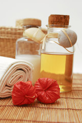 SPA accessories for wellness