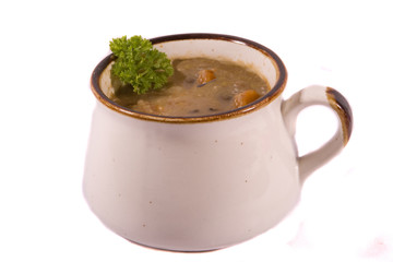 Isolated Mug of Tasty Soup
