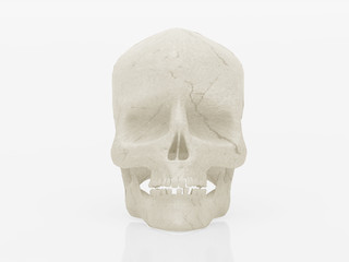 skull