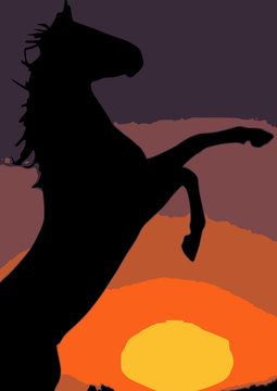 cheval