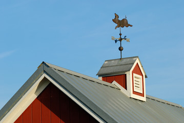 Pig weather Vane on red Cupola