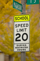 School speed limit sign with fall color