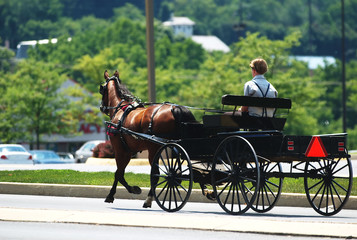 An Amish horse and buggy  traveling down a Pennsylvania street.