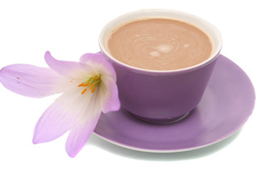 The lilac flower and cup from coffee are isolated 