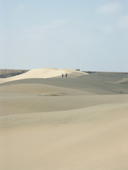 Fototapeta na wymiar un couple sur les dunes