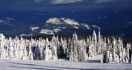 Ski slopes of Silver Star with the snow ghosts visible