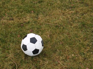 pelouse et ballon