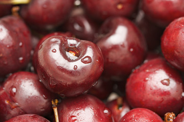 Bunch of Fresh Cherries