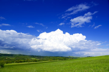 Photo of meadow in sunny day.