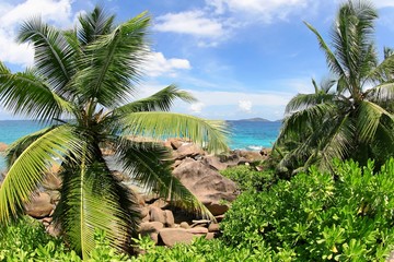 Fototapeta premium Seychelles