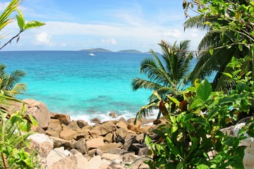 Fototapeta premium Seychelles
