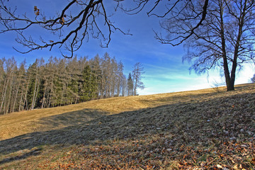 Voralpen