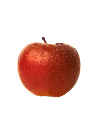 fresh red apple on white background