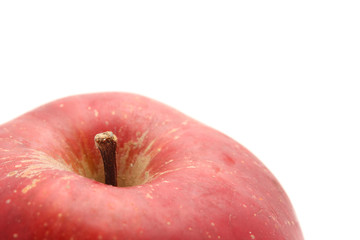 Apple. macro