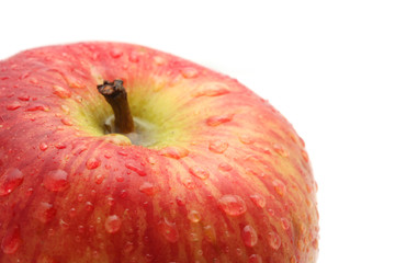 Apple. macro