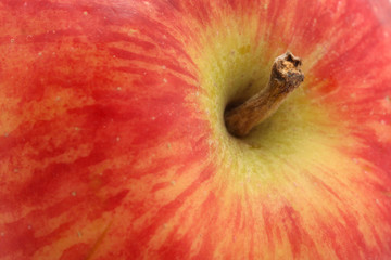 Apple. macro