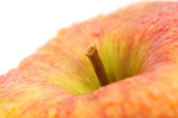 Apple. macro
