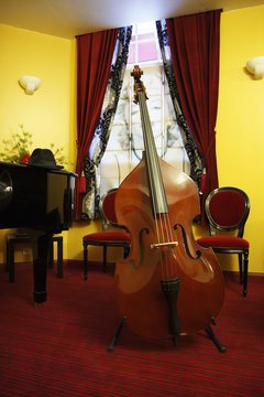 contrebasse