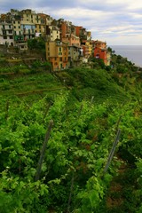 Corniglia
