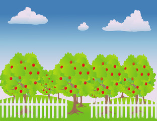 vector illustration of an apple orchard