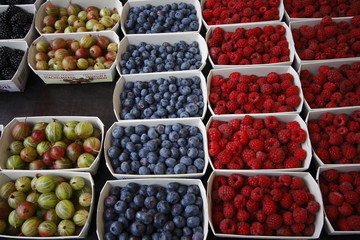 Assortment of Fruit Berries 