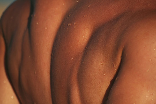 dos de jeune homme muscl&eacute; avec peau bronz&eacute;e au soleil