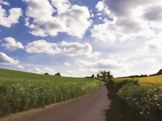 Fototapeta na wymiar Country lane, Winkwell near Luton, Hertfordshire,