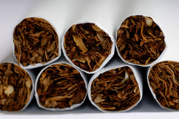 Extremely close-up photo of the cigarettes