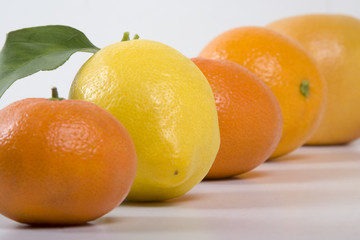 Agrumes et vitamines