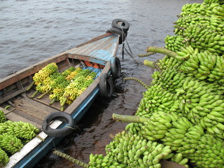 Bananenanlieferung am Bananenmarkt. Manaus, Amazonas - Brasilien