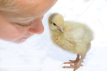 child and chicken