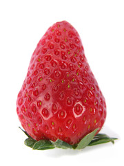 Strawberry standing vertical
