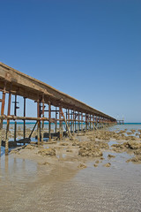 Pontoon on a beach of Red Sea