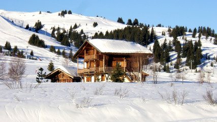chalet savoyard