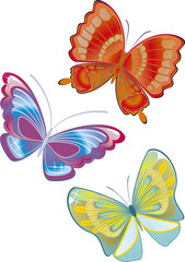 butterflies - vector