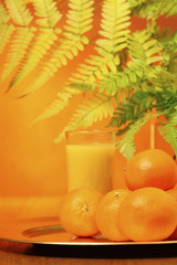 freshly squeezed orange juice