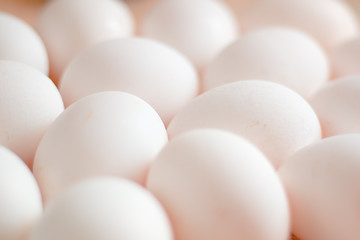 White eggs