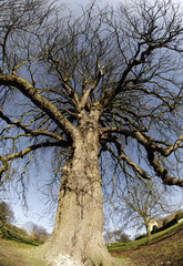 sunny day in middle of winter