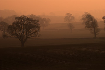 Obraz premium Early morning mist over the Shropshire Hills