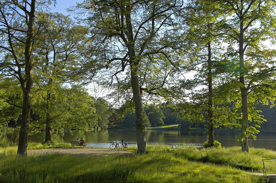 R&uuml;gen, Putbus, Schlosspark