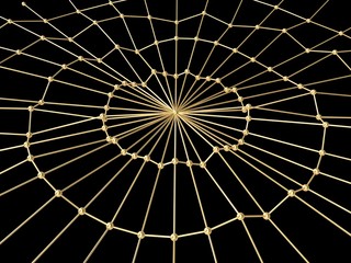 gold web on a black background