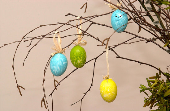 Osterbaum