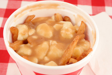 french fries smothered in gravy and melted cheese, 