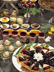 Dessertbuffet mit Blaubeerkäsekuchen, Zitronentörtchen mit Baiser, Crème Brulée, verschiedene...