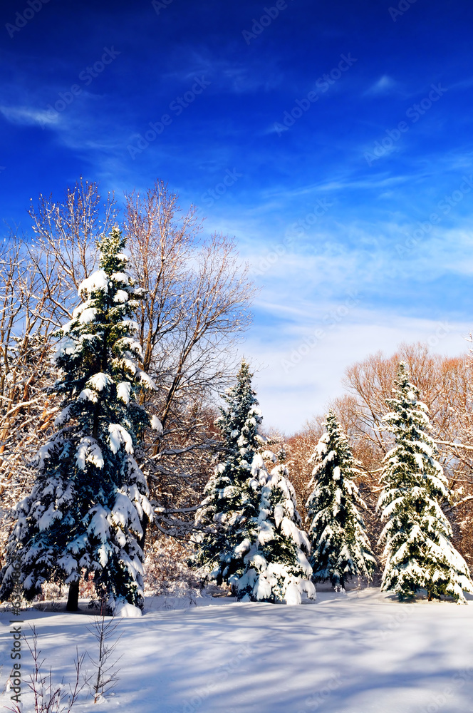 Sticker Winter landscape of a sunny forest after a heavy snowfall