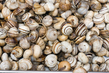 Fresh shellfish for sale at a market for farm products