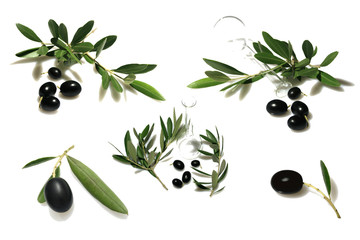 rami olivo
